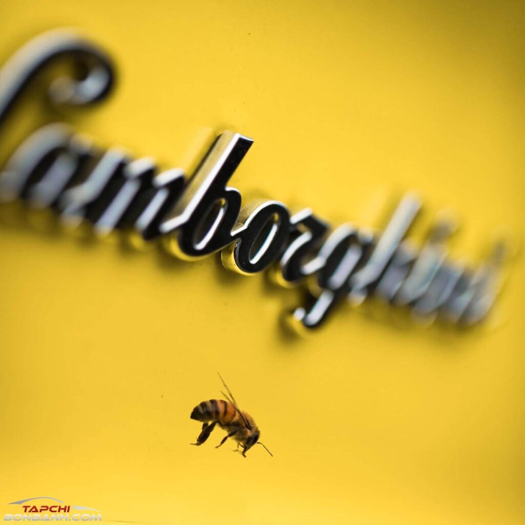 Nhung to ong ben trong nha may Lamborghini va bi an chua duoc tiet lo 5