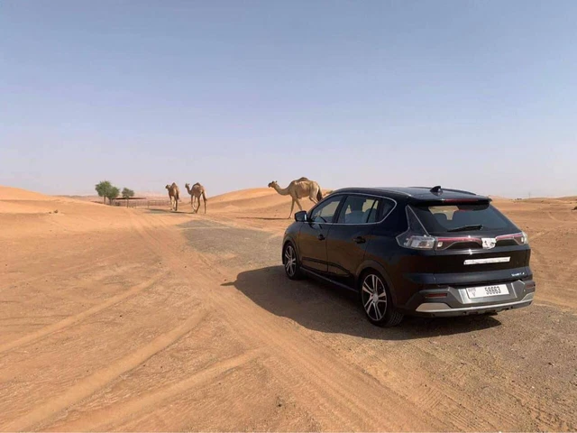 Rộ tin VinFast VF e34 chạy thử ở Dubai: Check-in đồi cát như xe hai cầu, ngoại hình y hệt phiên bản bán tại Việt Nam - Ảnh 2.