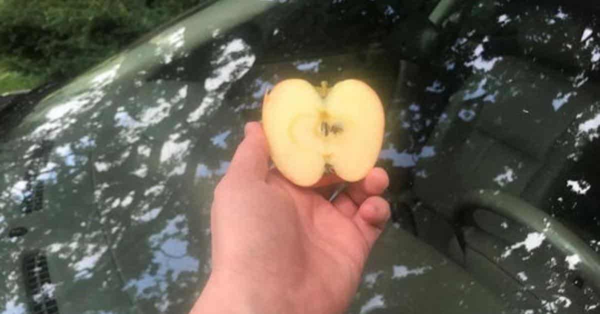 Chà xát nửa quả táo lên kính xe ô tô, bạn sẽ thấy điều kỳ diệu xảy ra