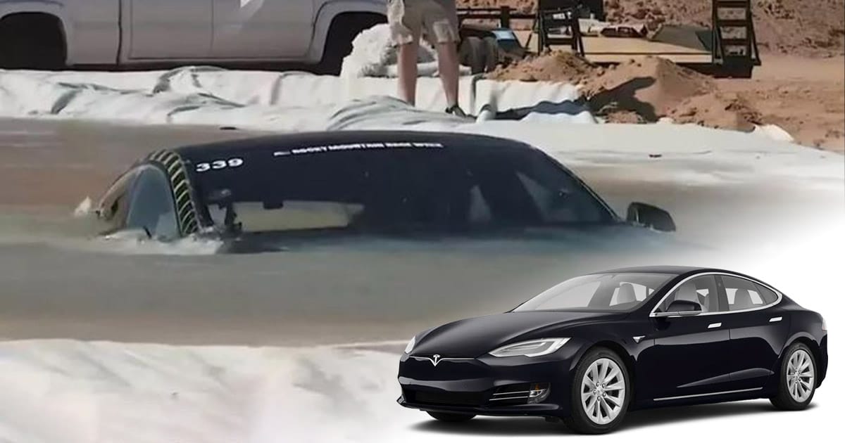 New wheels options added for your cars avatar in 20202461 software  update  Drive Tesla